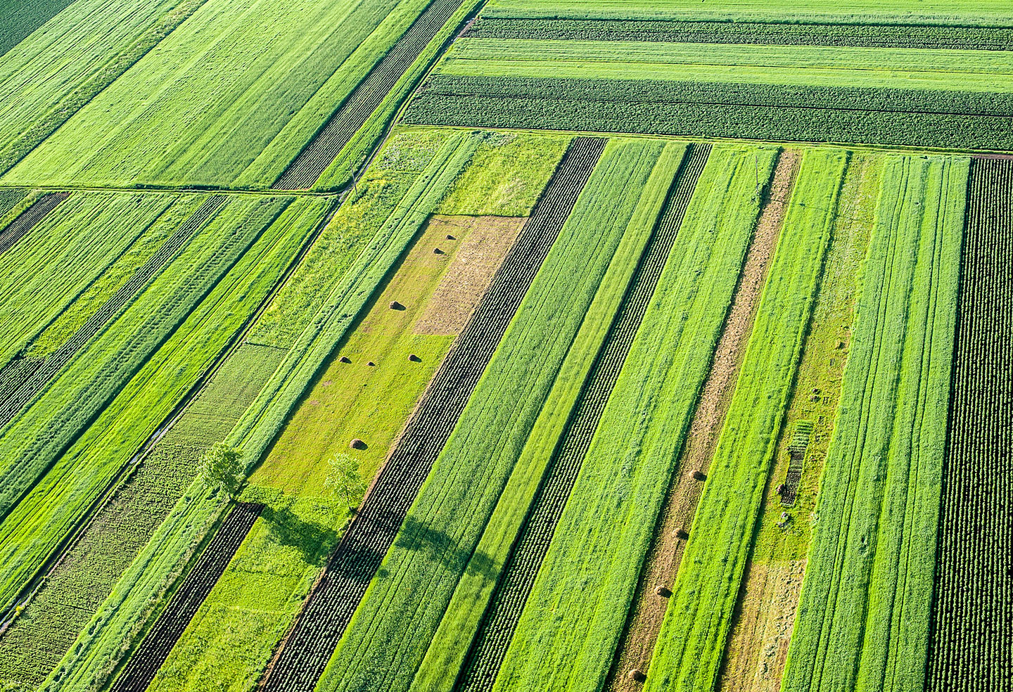 Background hero atmospheric image for Agricultural Law Forum December 2014