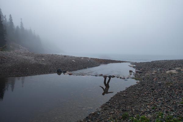 Mirrors Are Leaks, 2015, Photograph